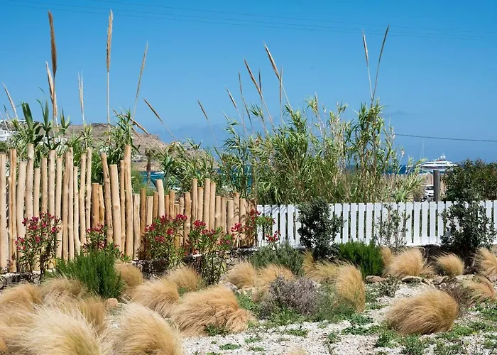 Vaqueros 3* كالافاتيس