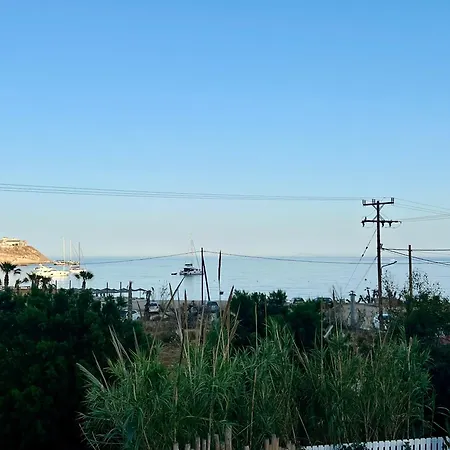 Vaqueros 3* 卡拉法蒂斯